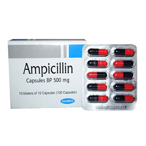 Ampicilline prix