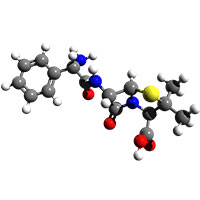 ampicilline